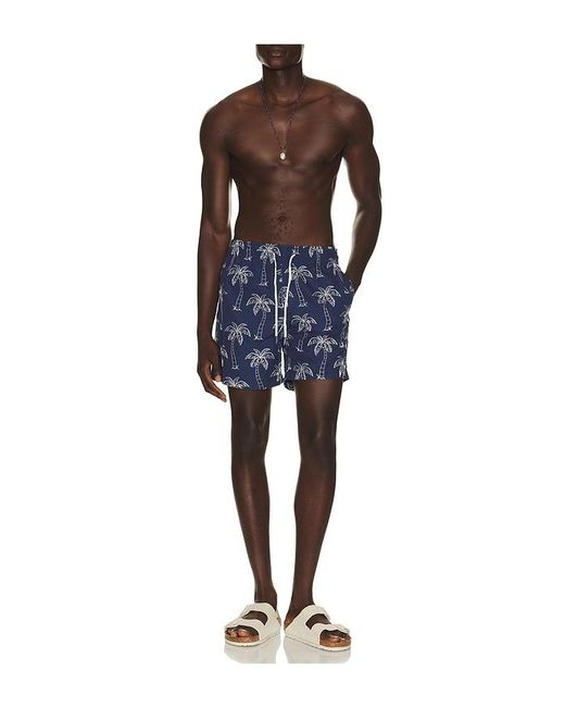 Trunks Surf & Swim Blue Sano 6.5 Swim Short for men