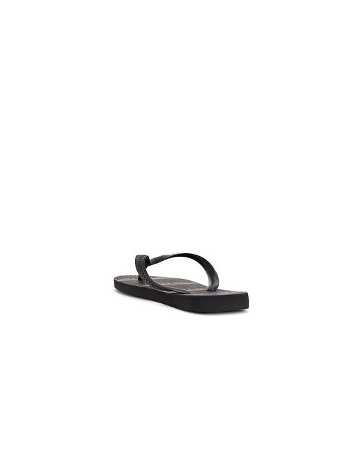 Havaianas Black Top Pride Sandal