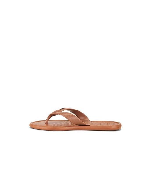 Havaianas Brown Puffed Up Sandal