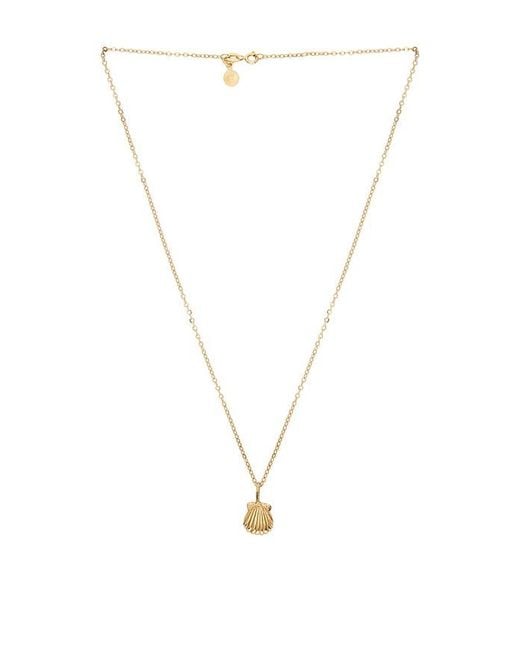 Studio Conchita White Conchita Necklace
