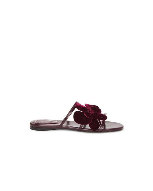 Zimmermann Multicolor Orchid Slide