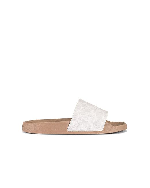 off white sliders womens