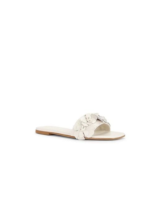 Raye White Iris Flat
