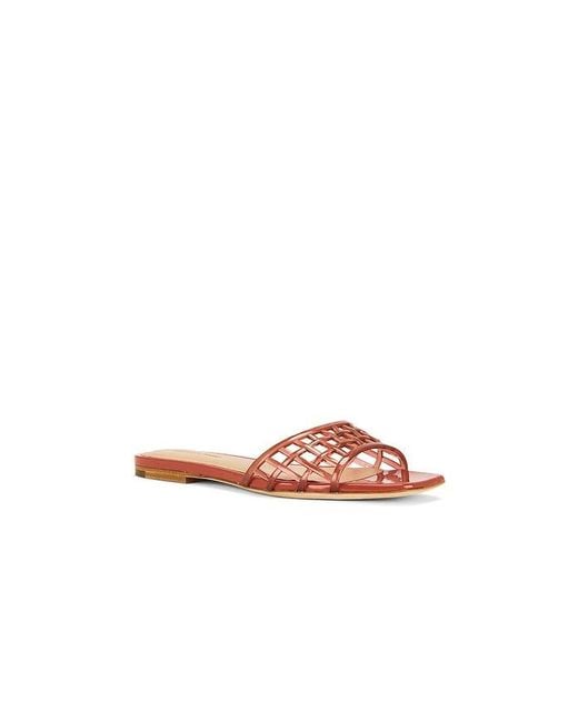 Veronica Beard White Maris Jelly Sandal