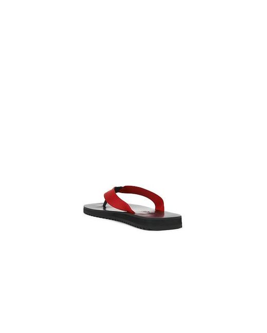 Senso Multicolor Flip Flops Xylon