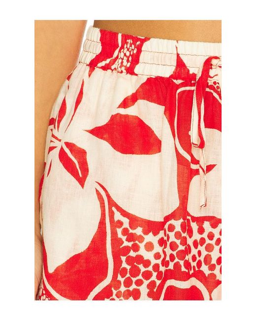 LSPACE Red Rio Short