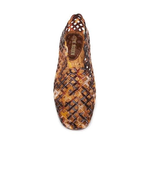 Steve Madden Brown Grove Flat