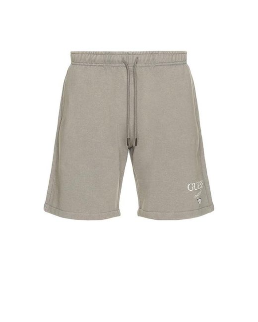 Guess Shorts in Gray für Herren