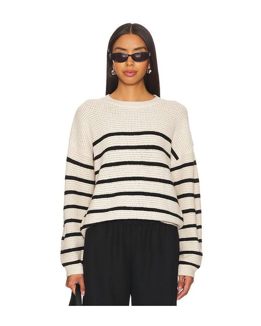 Sanctuary Multicolor Strick Warmer Days