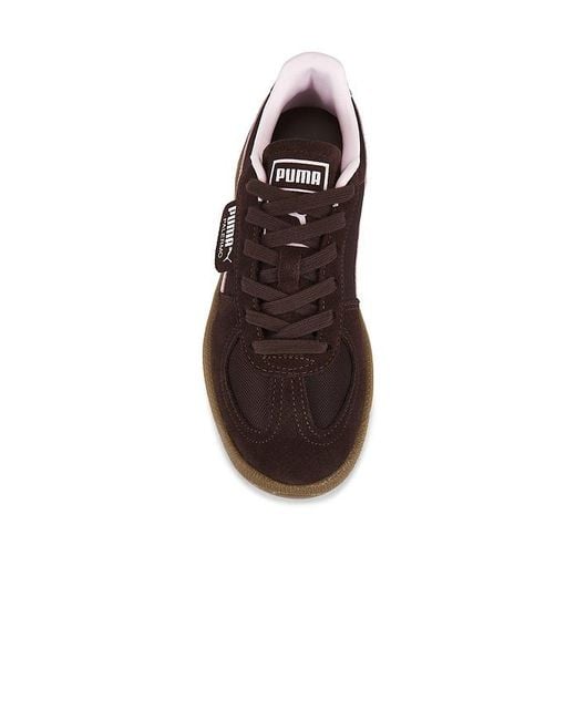 PUMA Brown Palermo Vintage Sneaker