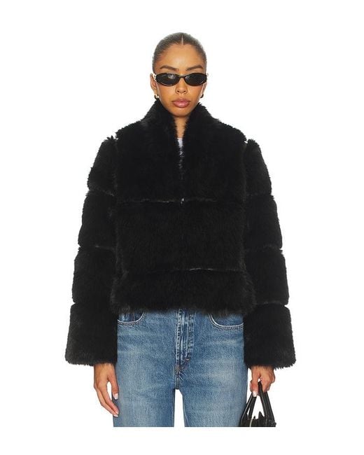 Apparis Blue Sai Sable Coat