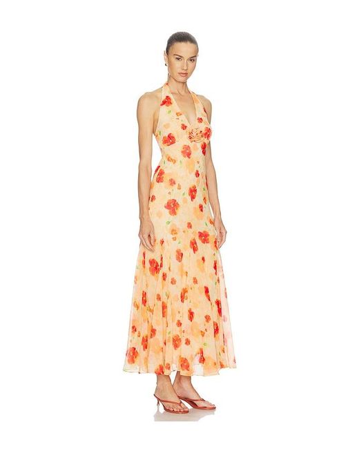 Astr White Yasmeen Dress