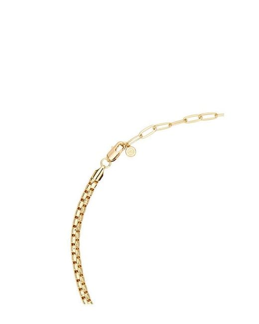 Ettika Metallic Single Rolo Chain Necklace