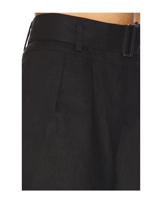 Hevron Black Zinna Short