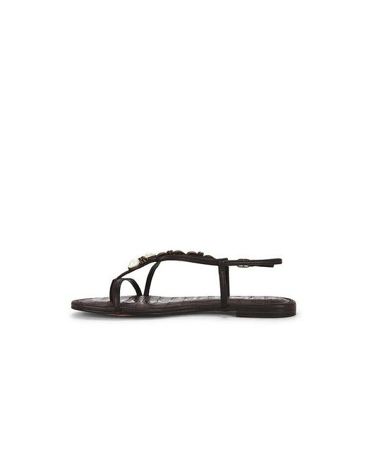 Sam Edelman Black Calla 2 Sandal