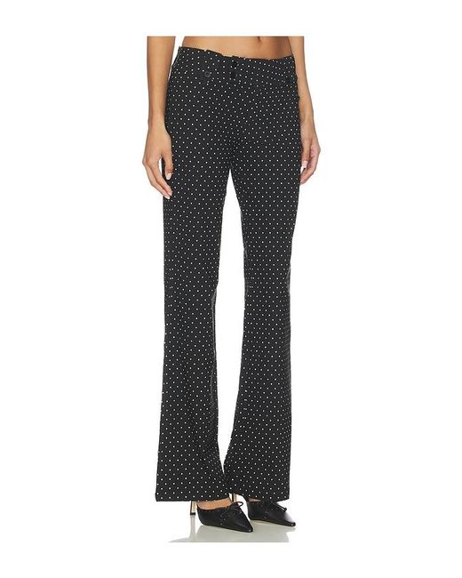 Tiger Mist Black Kittie Pant