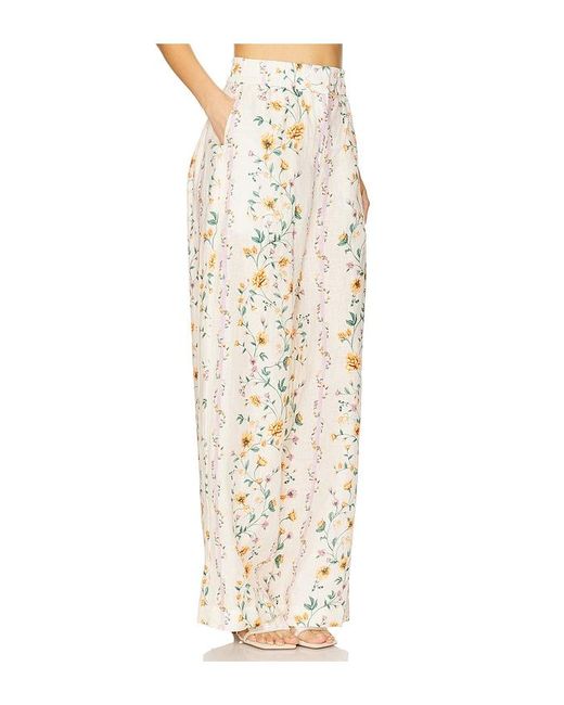 Agua Bendita Natural Hose Totoa Chinesis