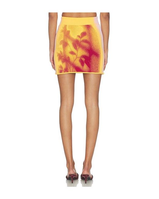 Ph5 Orange Alani Window Print Mini Skirt