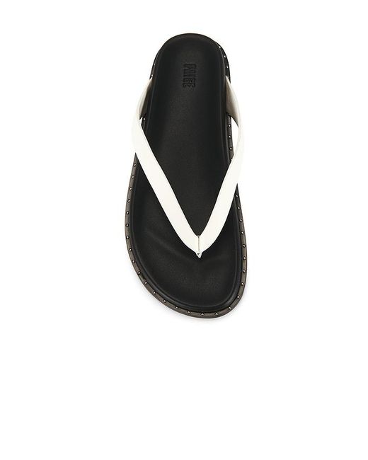PAIGE Black Zadie Sandal