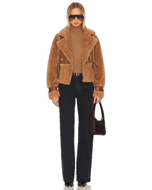 Lamarque Brown Elody Jacket