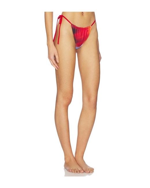 Feners Multicolor Bikini Bottom