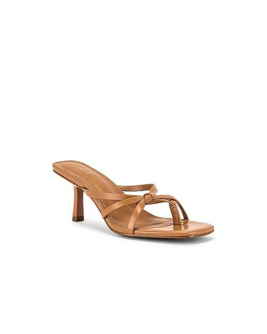 Raye Brown Dax Heel