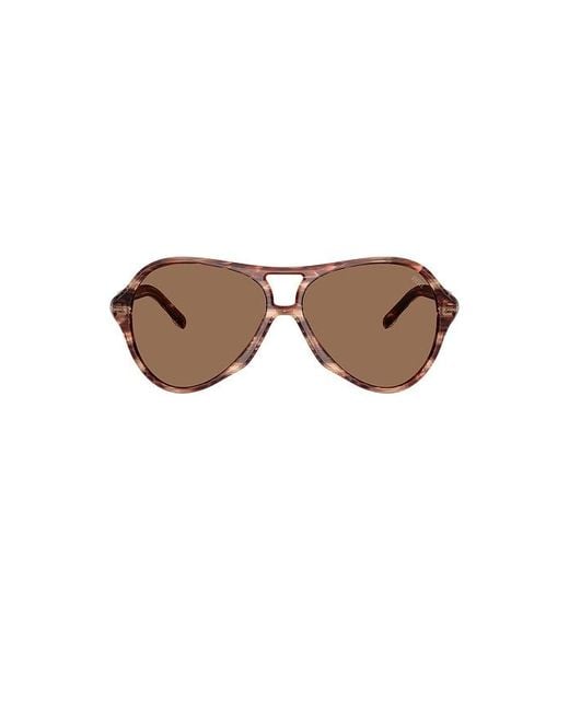 DIESEL Brown Aviator Sunglasses