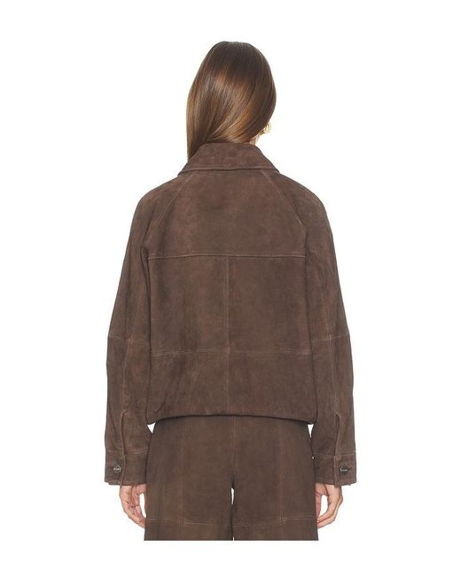 ALIGNE Brown Alex Suede Bomber Jacket