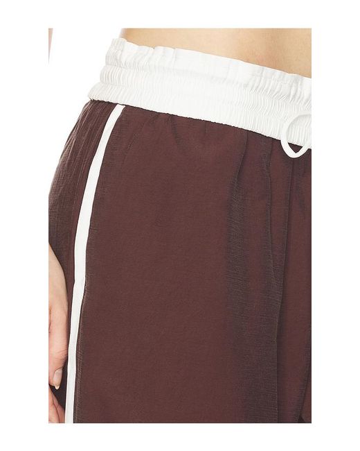SOVERE Brown Sora Pant