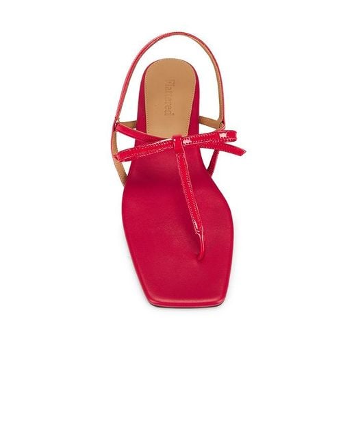 Flattered Red Sandale Sina
