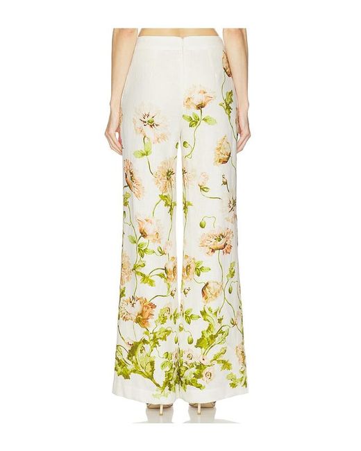 Cara Cara Yellow Sunflower Pant