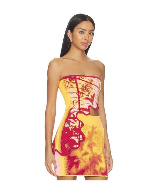 Ph5 Orange Pomelo Wavy Bra Top