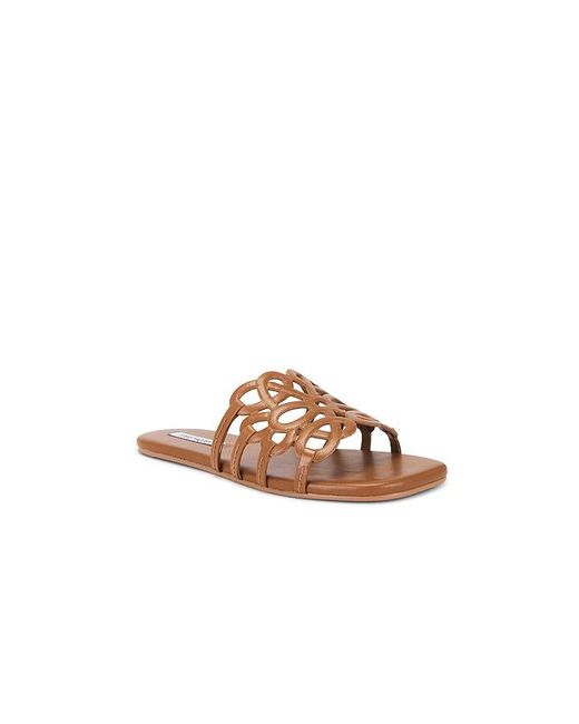 Steve Madden Brown Lotus Sandal