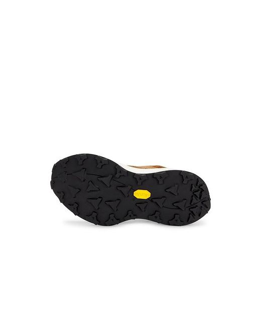 Tory Burch Brown Tory Sneaker