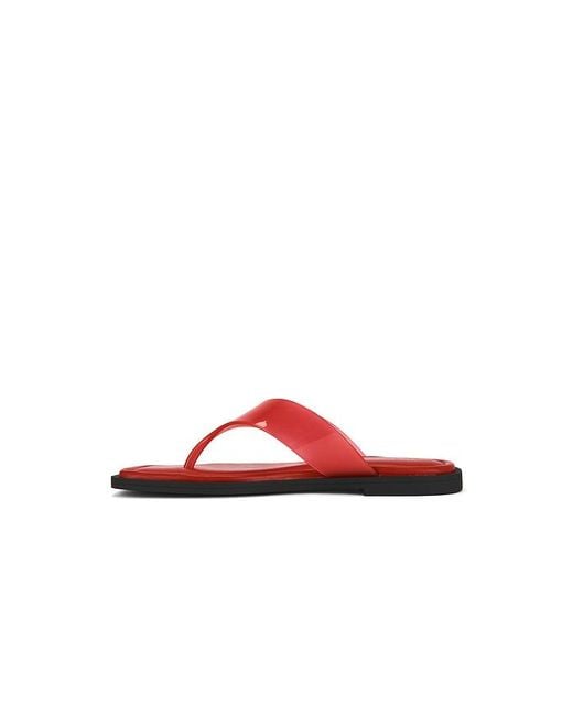STRING GRACIE en Red Rag & Bone