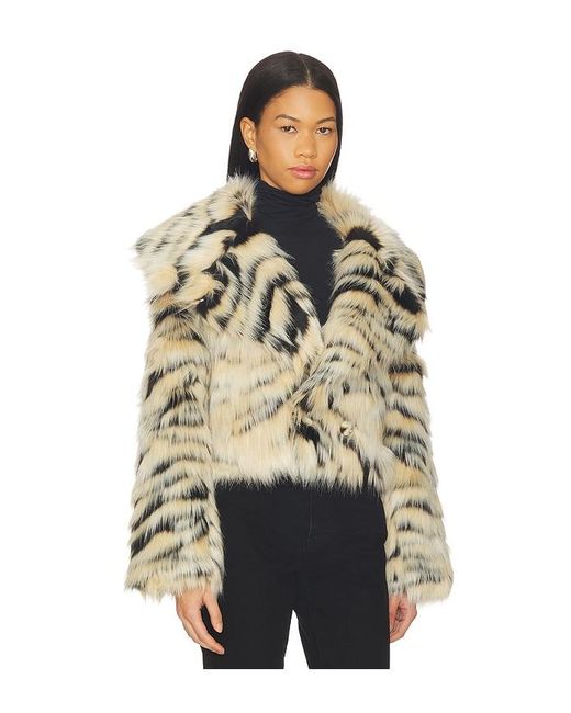 Adrienne Landau Blue Londyn Jacket