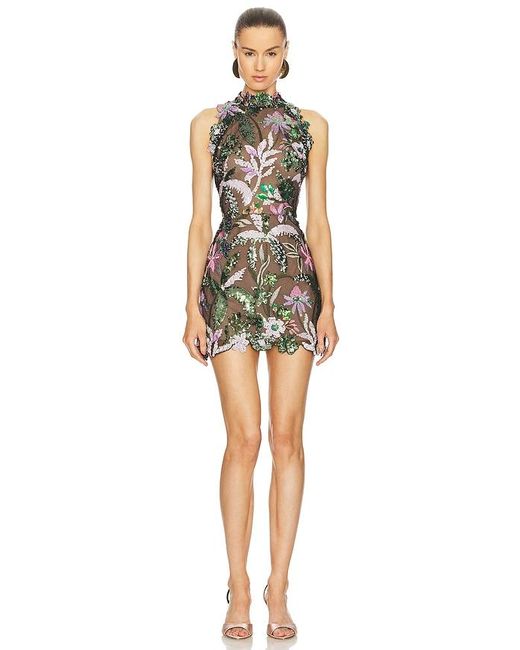 Bronx and Banco Multicolor Leona Embroidered Halter Neck Mini Dress