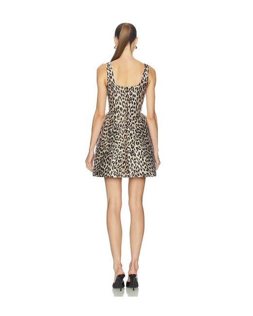 Astr Natural Claudie Dress