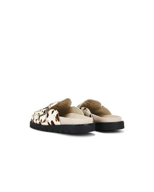 Duke & Dexter Multicolor Winston Mule for men