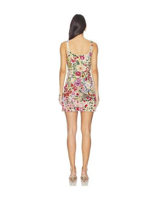 La Fuori Multicolor Mini Dress
