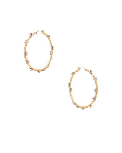 Rebecca Minkoff Calla Hoop Earrings In Metallic Gold.