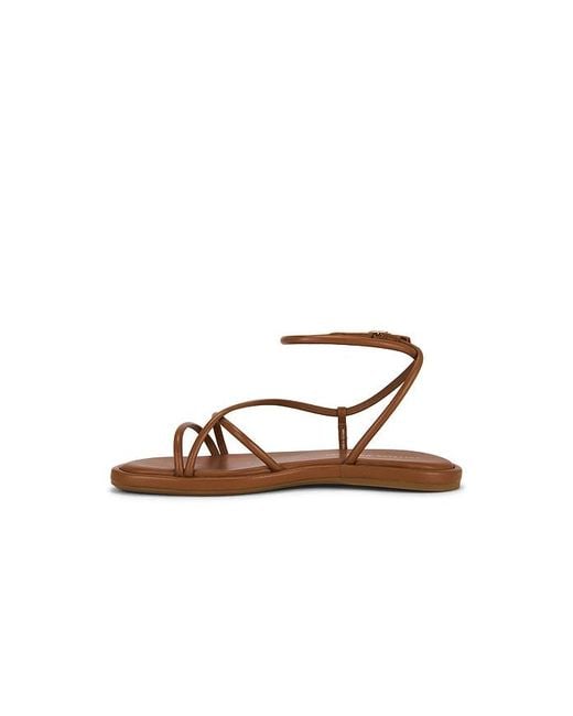 Loeffler Randall Multicolor Noor Strappy Ankle Wrap Flat Sandal
