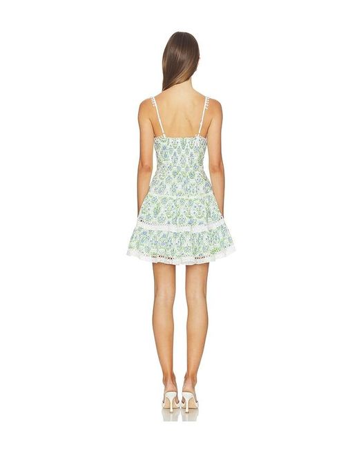 Astr Multicolor Skye Dress