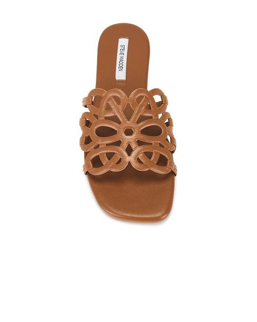 Steve Madden Brown Lotus Sandal