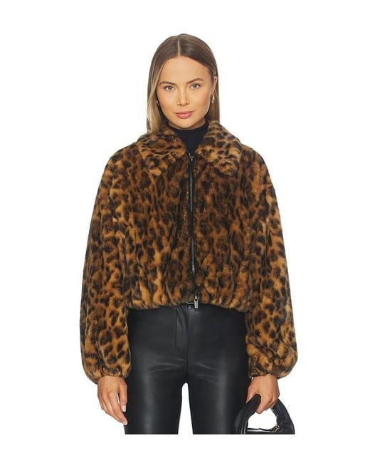 A.L.C. Brown A..C. Jacke Esme