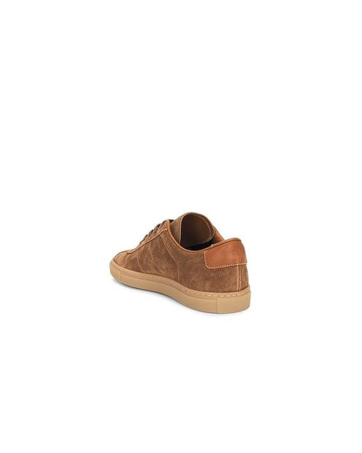 Common Projects Brown Sneakers Field