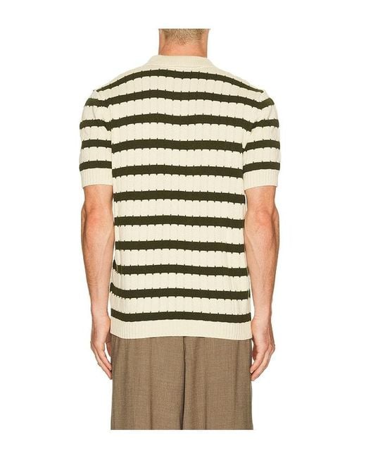 Percival Multicolor Stine Knitted Polo for men
