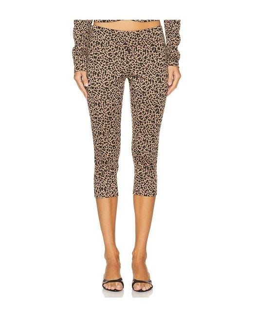 Lioness Multicolor X Revolve Capri