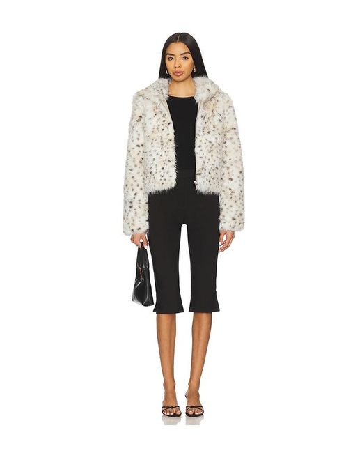 Free People Multicolor Louder Please Hooded Jacket