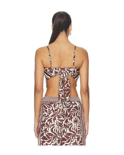 Astr Multicolor Eva Top